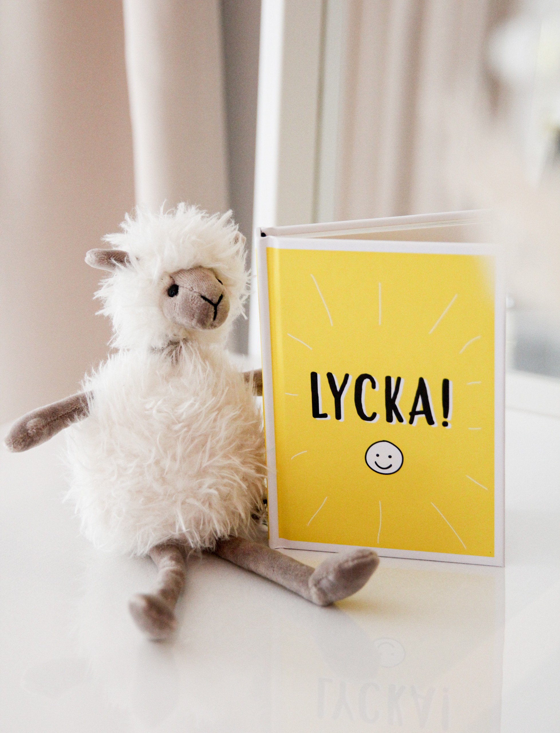 Bok - Lycka! ( Format: 107 × 19 × 144 mm)