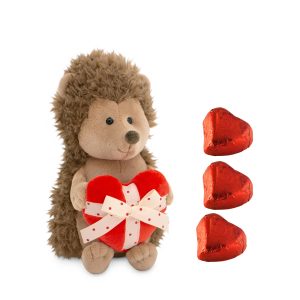 Omtanke med igelkotten Prickle med hjärtat och härliga chokladhjärtan