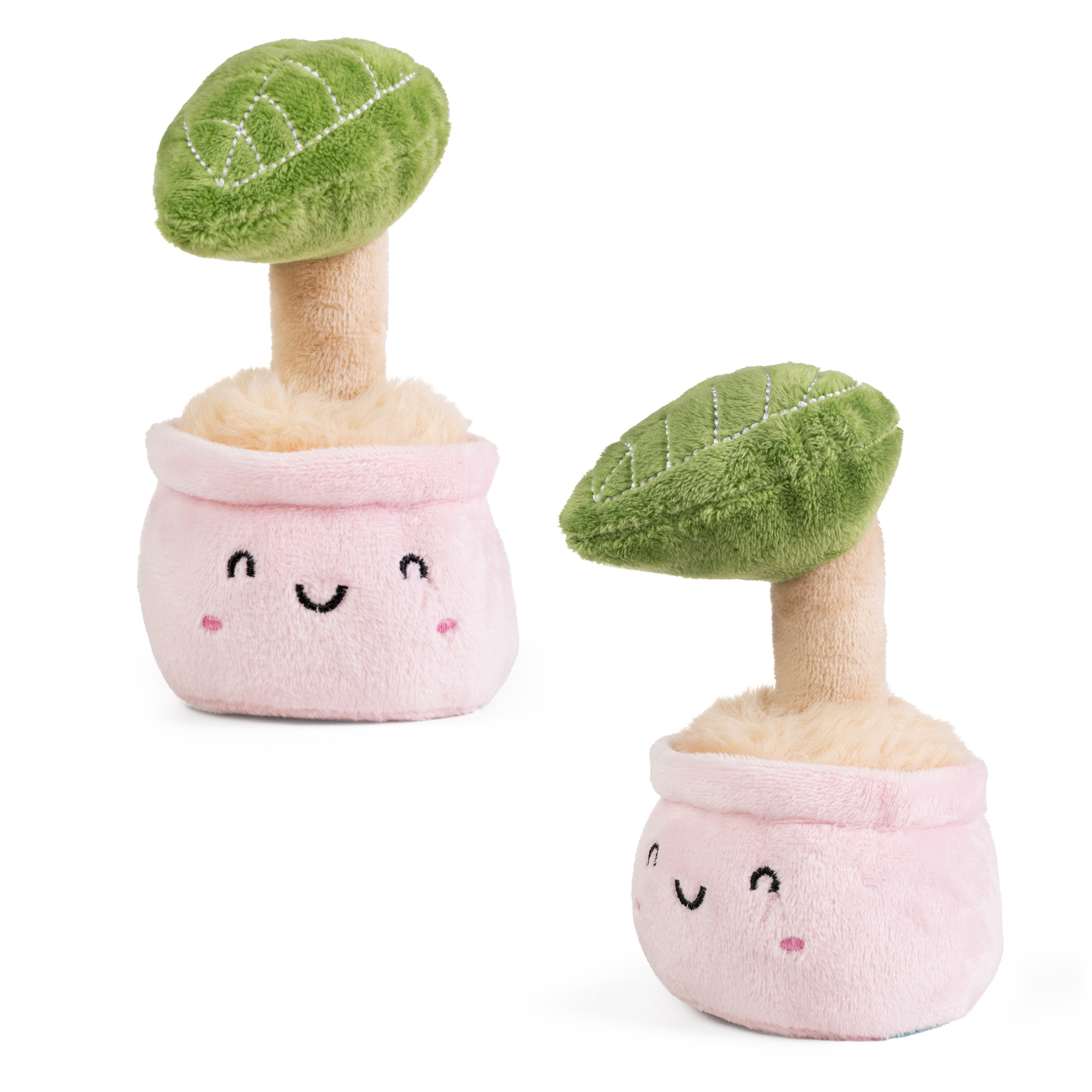 Gullig Mjukisplanta med blad från Little Living Nature